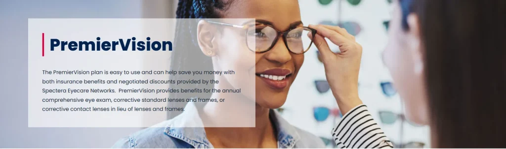 What Is PremierVision