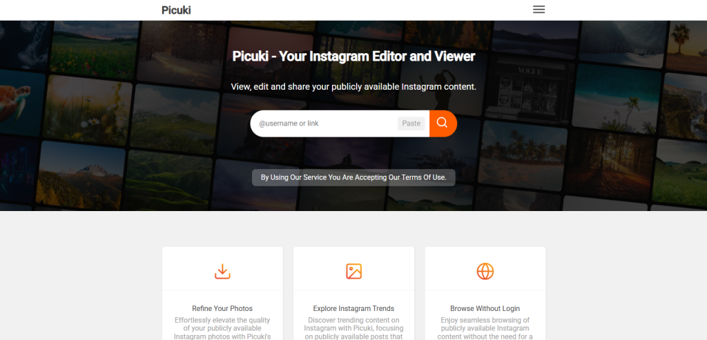 Screenshot from picuki.site