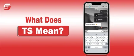 What Does TS Mean